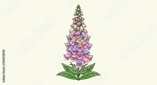 A colorful, detailed illustration of a foxglove flower with bell-shaped blooms