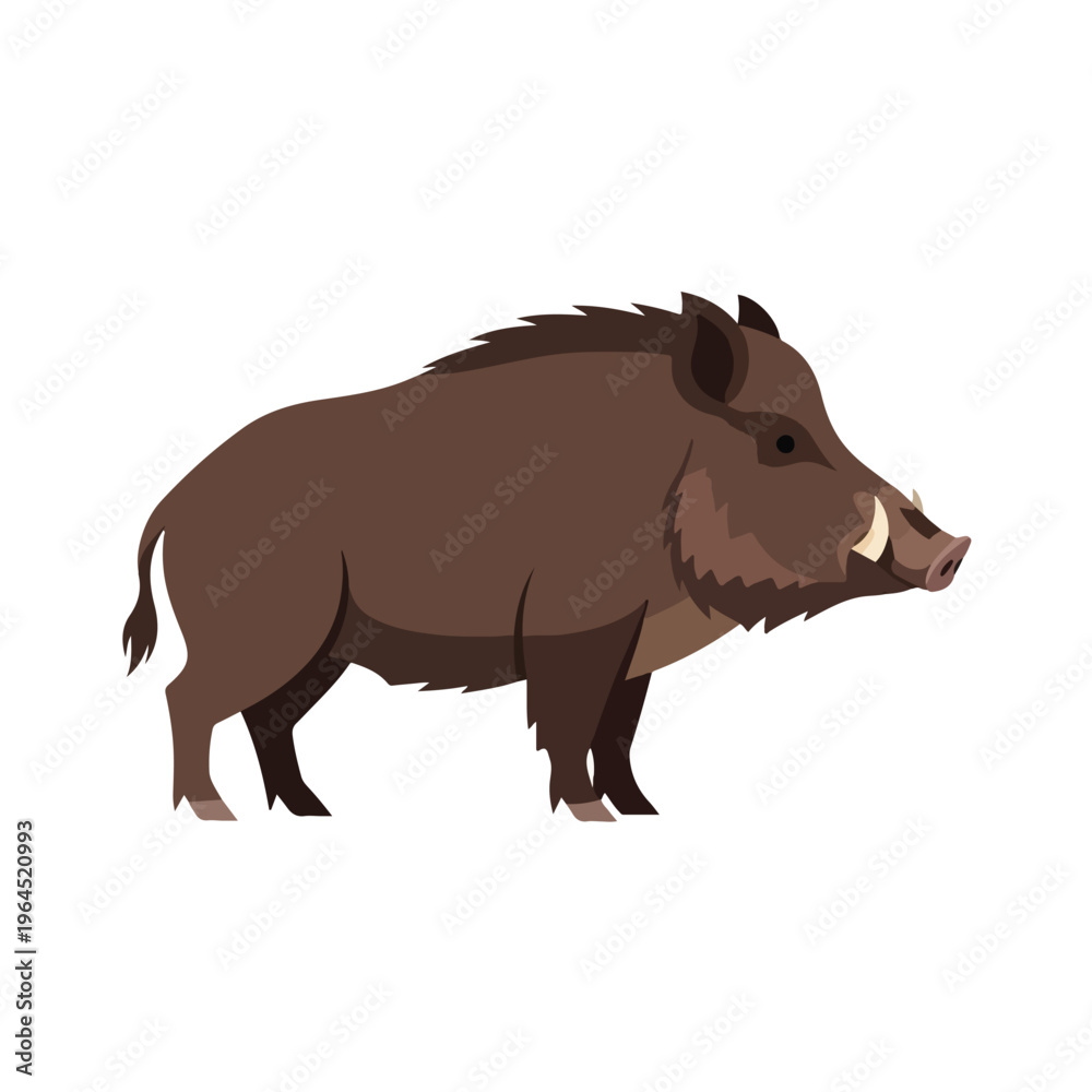 Fototapeta premium Wild boar standing profile view