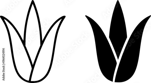 Aloe vera illustration, outline and silhouette, for plant or botanical logo design