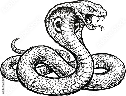 A black and white illustration of a coiled cobra with its mouth open