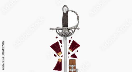 A detailed illustration of a rapier surrounded by a broken object,  on a white background