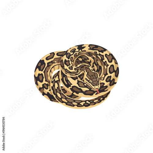 Leopard print hat with curled brim on white background
