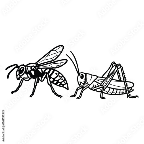 Insects grasshopper and wasp facing each other in vector drawing