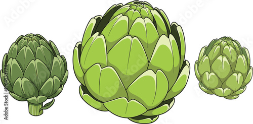 Artichoke vegetable collection with whole fresh green organic food ingredients healthy diet vector illustration set isolated