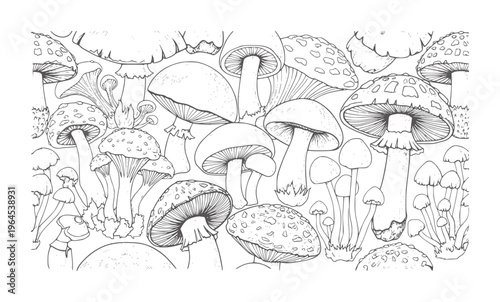 Black and white line of various mushrooms in a dense pattern fungi nature