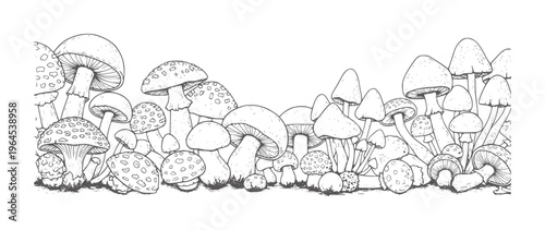 Black and white of a dense cluster of various mushrooms fungi forest nature