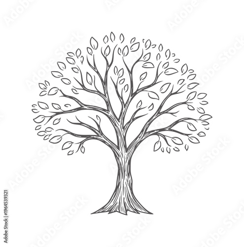 Hand drawn of a deciduous tree with dark gray branches and leaves