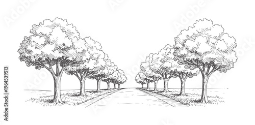 Lined trees both sides of a road in a style nature landscape