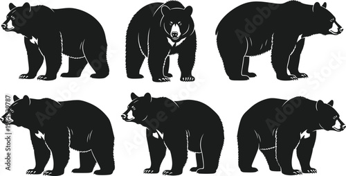 Black bear silhouette collection, grizzly bear standing and walking isolated, wild animal set, forest wildlife, flat vector illustration, cad drawing, flavector.