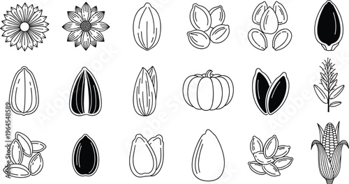 Vector Illustration of Different Seeds, Nuts, and Plants Including Sunflower, Pumpkin, and Corn for Agriculture, Farming, and Nature Graphics