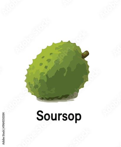 custard apple on white background