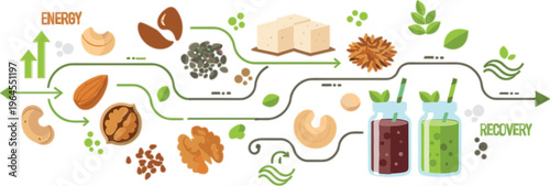 Plant based diet infographic vector with food groups, fruits, vegetables, grains, nuts and seeds, healthy vegan nutrition chart and balanced eating illustration