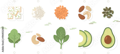 Vegan protein food vector set with tofu, lentils, nuts, seeds, avocado and leafy greens, healthy plant based nutrition ingredients illustration