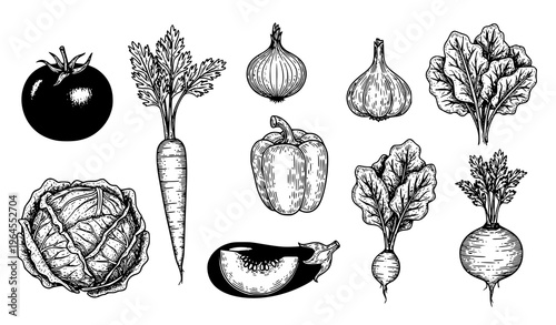 Black and white vegetable engraving collection vintage etched food vector isolated on white background