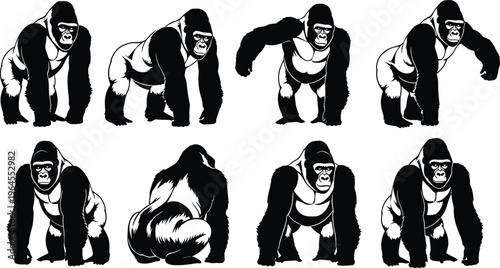 Gorilla silverback primate silhouette collection, powerful ape mascot set, wildlife animal vector illustration, black and white graphics, isolated on white background.