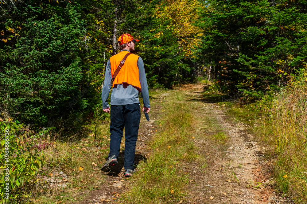 Obraz premium A young hunter scouring a forest trail in autumn, searching for prey.