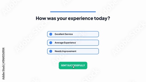 Customer Experience Feedback Survey UI with Multiple Choice Options and Green Sent Successfully Button Isolated on White Background