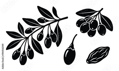 Black silhouette of goji berries on branch, single berry, and dried berry on transparent background vector