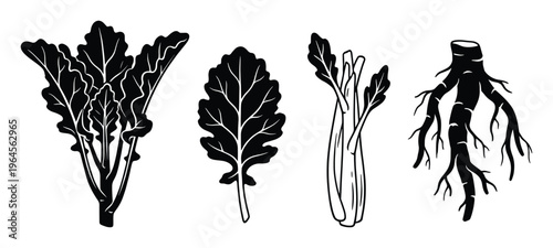 Bunch of leafy greens, single leaf, celery stalks, and taproot with fibrous roots