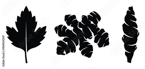 Leaf ginger root and spiral object black silhouette isolated on transparent background stylized elements