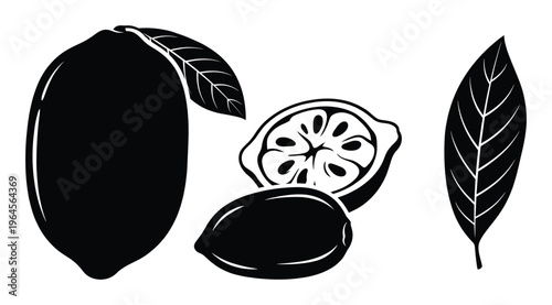 Lemon fruit vector illustration isolated on transparent background citrus whole and slice with leaves