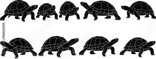 Turtle silhouette collection, tortoise walking isolated, slow reptile movement, wild animal set, nature wildlife, flat vector illustration, cad drawing, flavector.