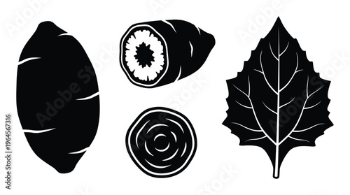 Sweet potato vector illustration collection with whole tuber sliced pieces and organic foliage leaf