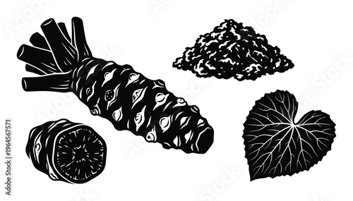 Wasabi root set with grated wasabi leaf and slice hand drawn monochrome vector illustration isolated