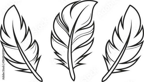 Black and white simplified feather feathers abstract angel wings simplified feathers