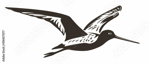Black tailed godwit bird in flight over water nature scene minimalist vector illustration