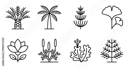Ancient plant and tree vector collection featuring palm ginkgo lotus horsetail and cycad graphics