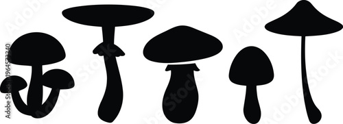 Set of black mushroom silhouettes representing different wild fungi species