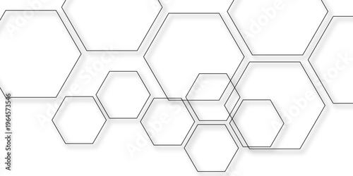 Vector Hexagonal geometry design create artistic impression and network, interconnected shapes and repeating patterns create stunning minimalist abstract and aesthetic feeling