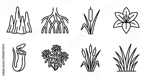 Aquatic plants and roots line icons pitcher plant reeds lily water grass clusters