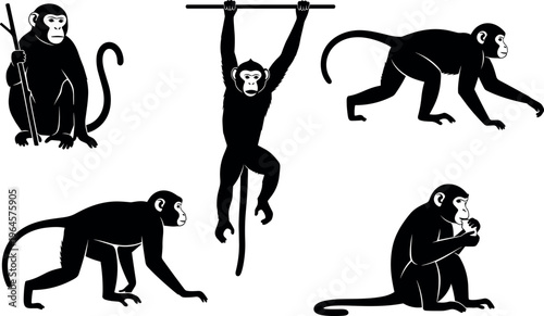 Set of black monkey silhouettes featuring various chimpanzees and primates sitting, climbing, and walking for wildlife nature and zoo concepts