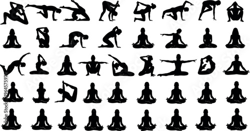 Set of colorful tropical parrot illustrations featuring macaws, budgies, cockatiels, and parakeets in various perching and flying poses for wildlifeSet 