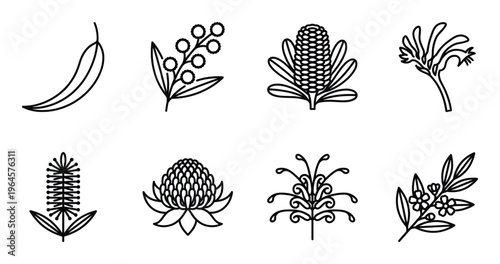 Australian native plant icons featuring banksia waratah kangaroo paw eucalyptus and wattle flowers