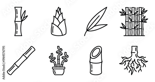 Bamboo plants segments and roots line icons for nature design growth stalks leaves sprouts pots