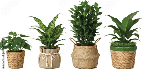 Collection of potted houseplant vector illustrations featuring lush green leaves in rustic woven baskets and burlap sacks for home interior and sustainable garden design.