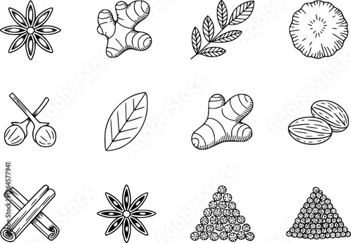 Hand drawn spice including star anise cinnamon ginger nutmeg and bay leaf herb ingredient
