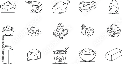 Essential dietary sources for wellness vector set featuring seafood lean meats seeds legumes nuts and healthy dairy products.