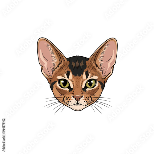 Abyssinian Cat Face Vector Illustration - Detailed Feline Head Portrait Isolated on White