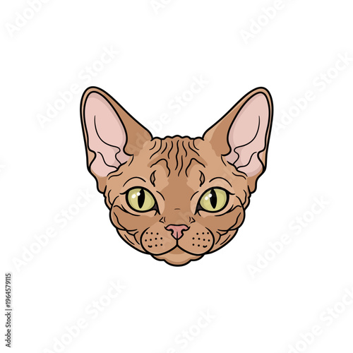 Sphynx Cat Portrait Illustration, Stylized Hairless Feline Head Vector Art Isolated on White Background