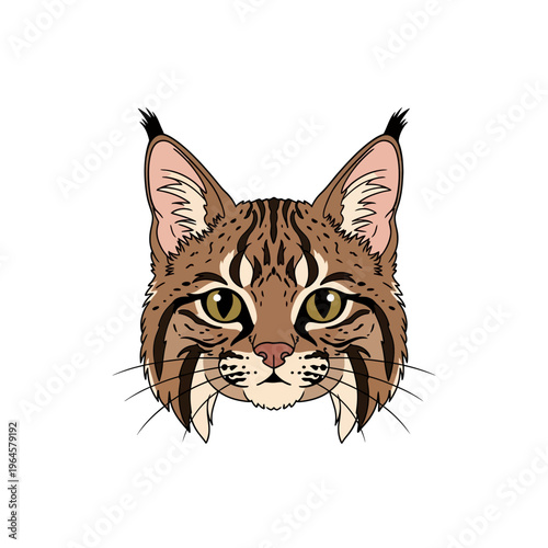 Detailed Bobcat Head Vector Illustration - Wild Lynx Portrait Isolated on White