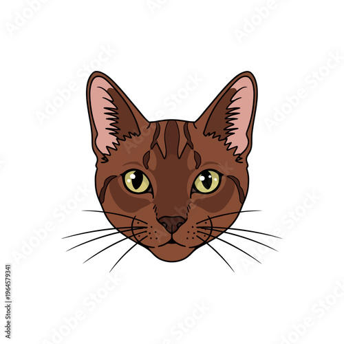 Abyssinian Cat Head Vector Illustration - Ruddy Brown Feline Portrait with Green Eyes