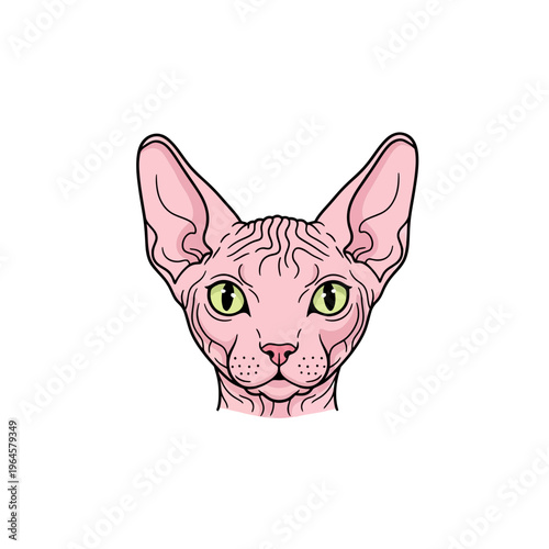 Sphynx Cat Head Vector Illustration - Stylized Pink Hairless Cat Mascot with Green Eyes