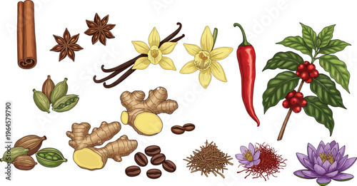 A comprehensive collection of hand drawn spice illustrations featuring cinnamon sticks, star anise, vanilla beans, chili peppers, ginger root, coffee beans, and aromatic saffron herbs.