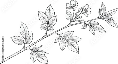 Islamic Prayer Rug with Traditional Pattern and Arch