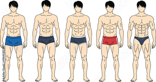 Male Body Types Set with Different Physique Shapes Front View Fitness Anatomy Vector Illustration for Training, Bodybuilding and Health Education Design