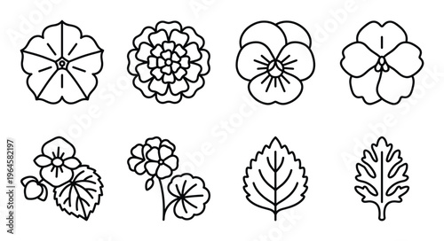 Collection of eight stylized flower and leaf line icons: pansy, marigold, geranium, simple leaf.